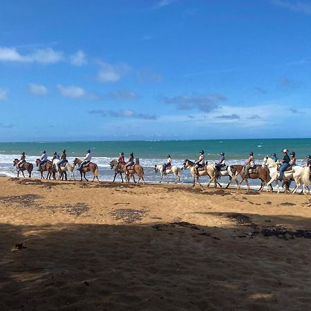 Oceanfront Condo In Luquillo Exteriör bild